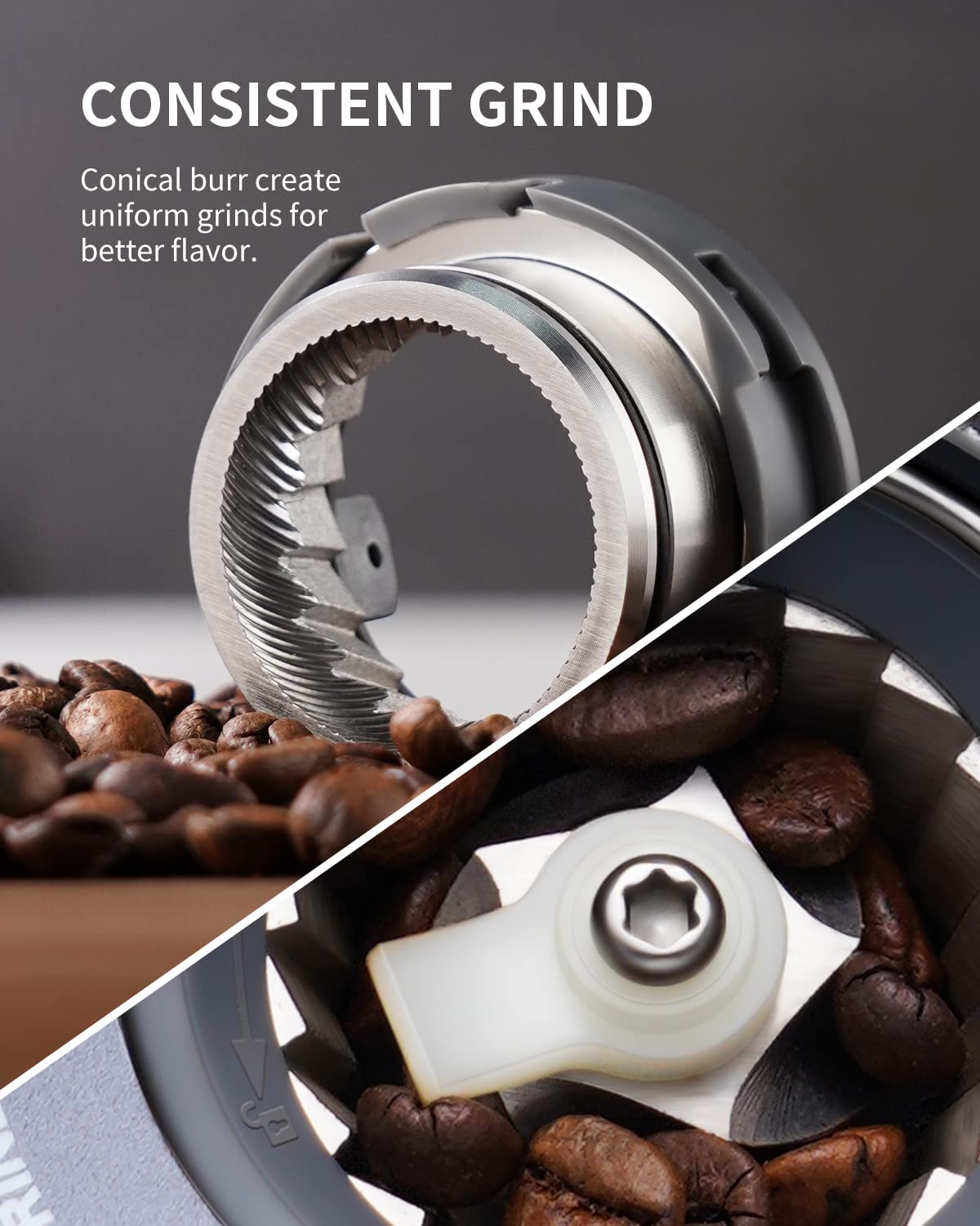 Conical Burr Coffee Grinder with 51 Grind Settings