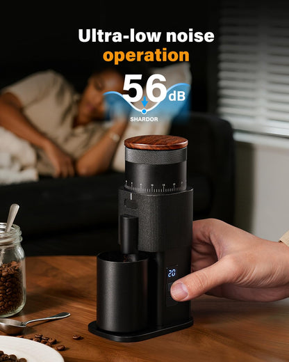 BZ02 Electric Conical Burr Coffee Grinder